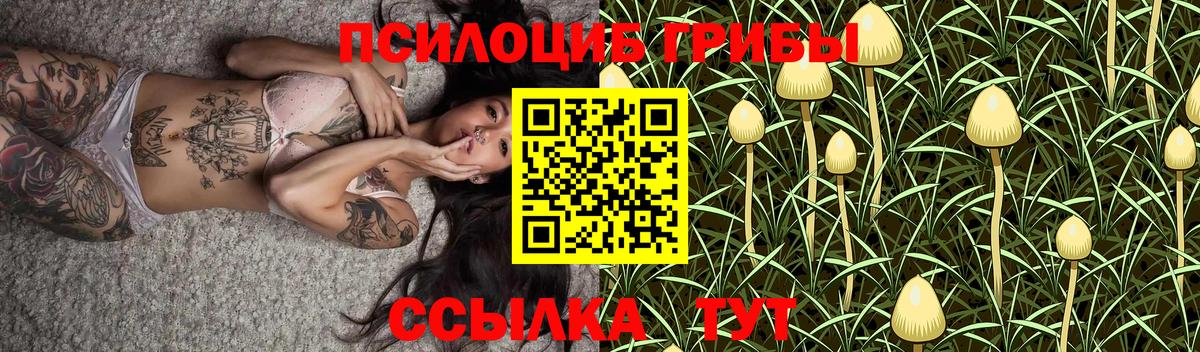 Галлюциногенные грибы прущие грибы Тосно