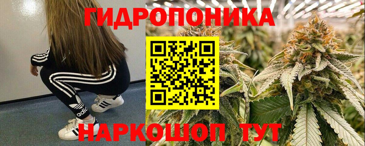 Каннабис ГИДРОПОН  Вход с VPN  Конопля LSD WEED  Бошки Шишки планчик  Тосно  Каннабис THC 21% 
